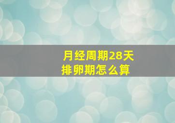 月经周期28天 排卵期怎么算